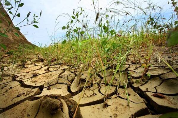 70-de-los-terrenos-del-maule-presenta-algun-grado-de-desertificacion