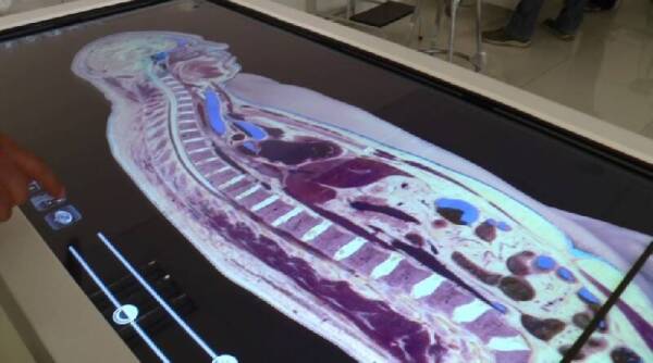 anatomage_3