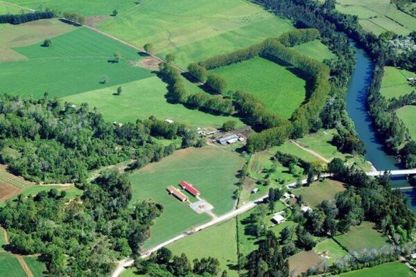 campo-experimental-maquehue-768×512-1