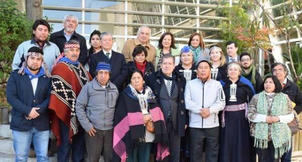 comision_upla_consejo_regional_mapuche_06