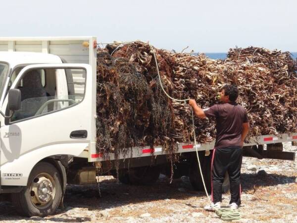 pescadores_de_la